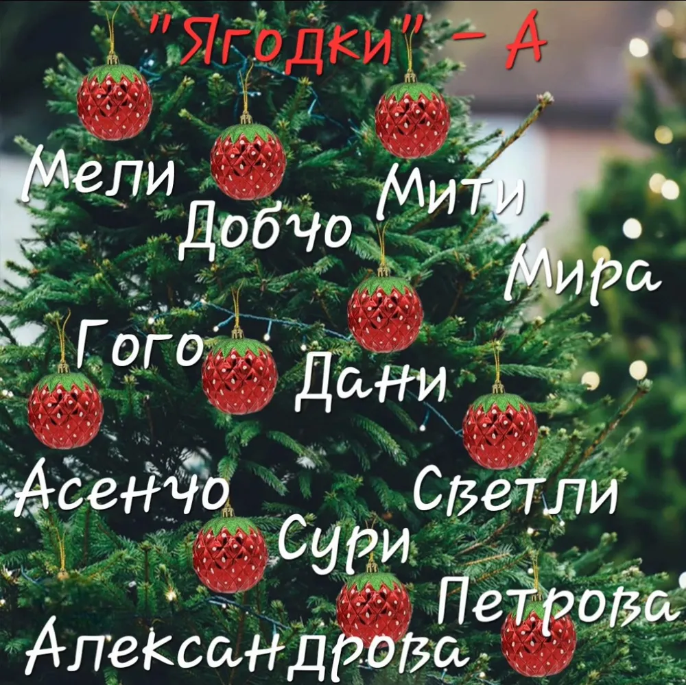 Дядо Коледа дойде при нас